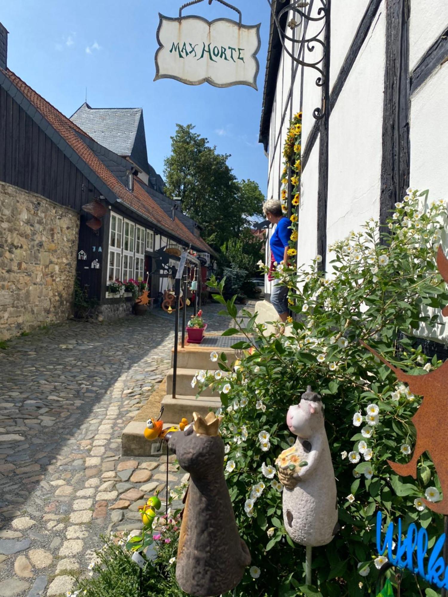 Fewo Georgenberg Goslar Exteriér fotografie