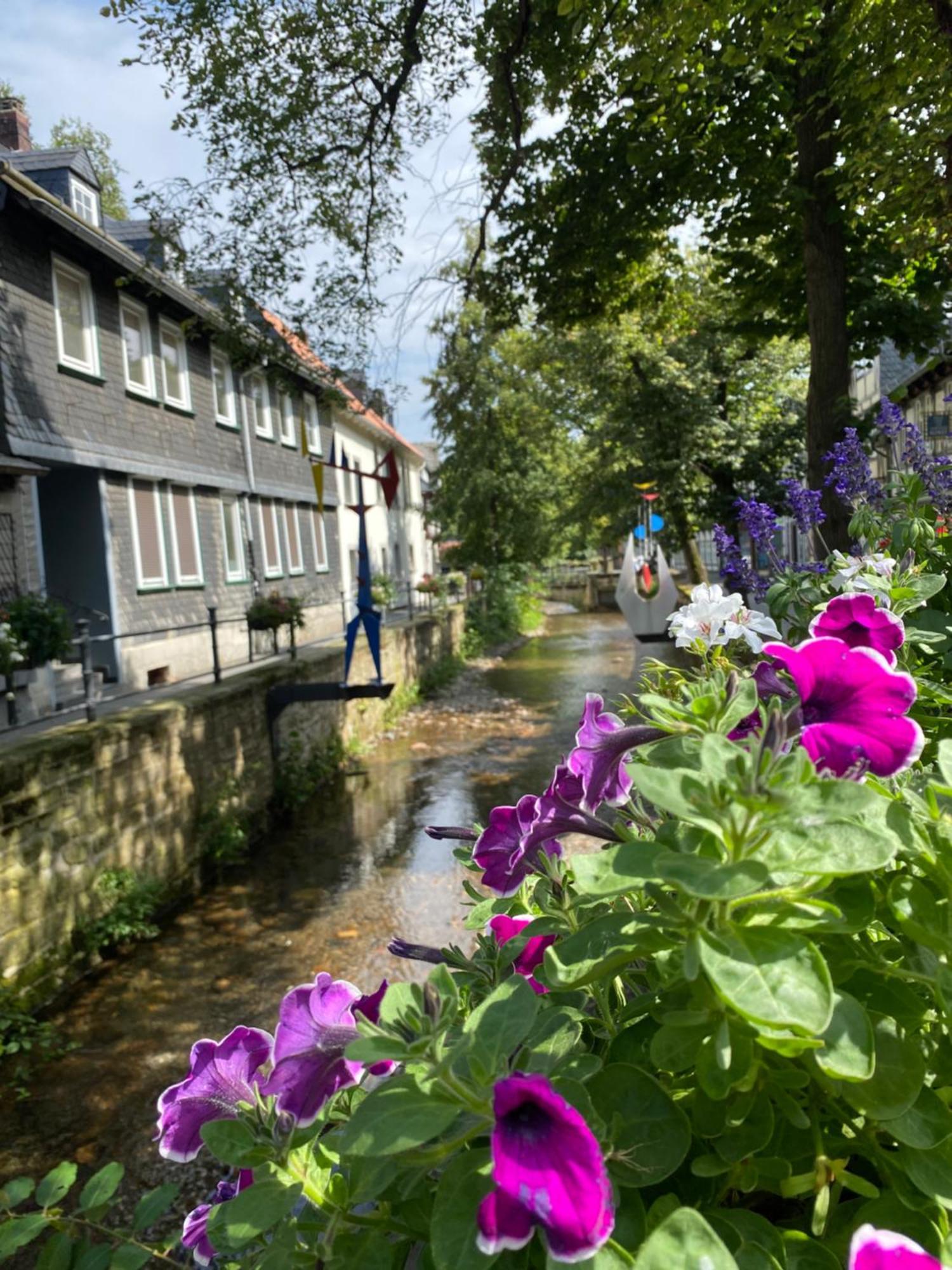 Fewo Georgenberg Goslar Exteriér fotografie